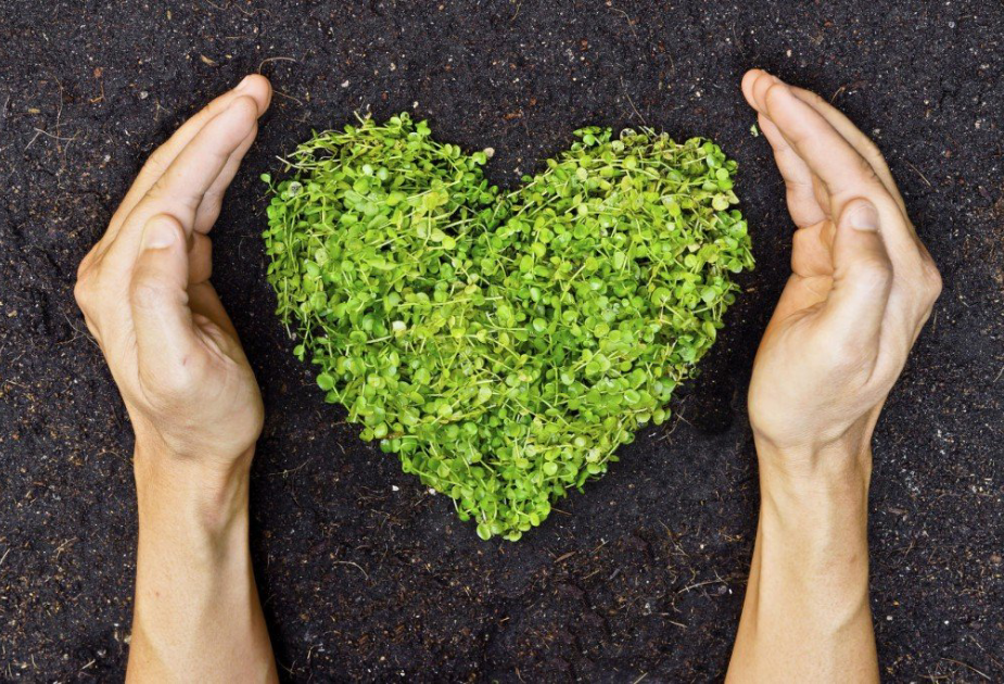 influenceur-eco-responsable