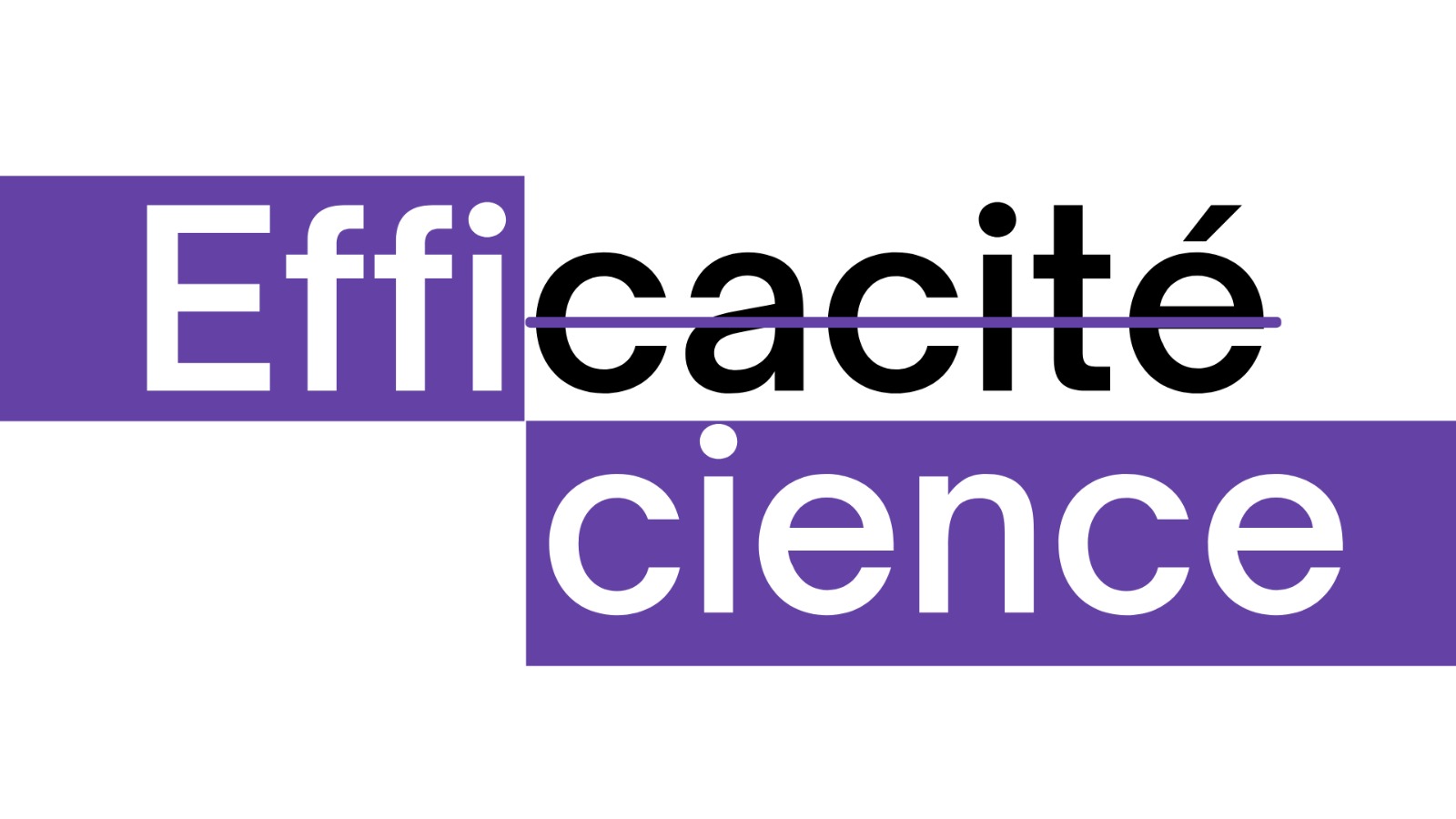 Efficacité et efficience